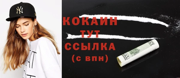 гидропоника Гусев