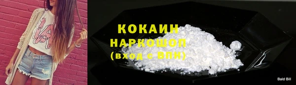 стаф Гусь-Хрустальный
