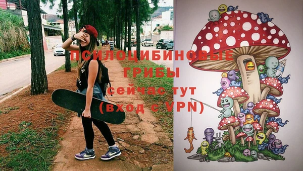 стаф Гусь-Хрустальный