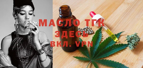 стаф Гусь-Хрустальный