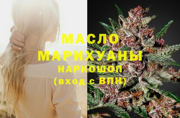 стаф Гусь-Хрустальный