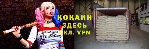 стаф Гусь-Хрустальный